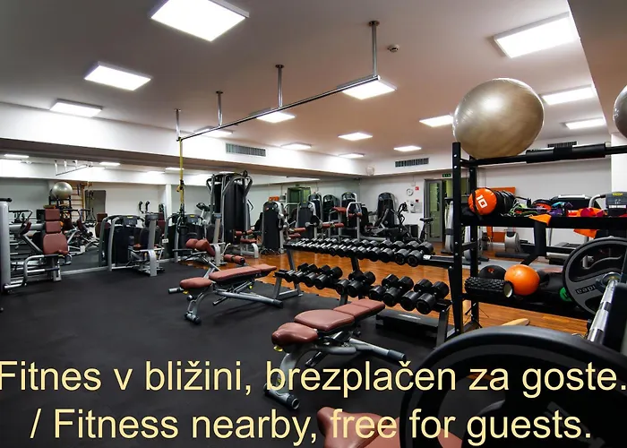 Daire Forgotten Garden